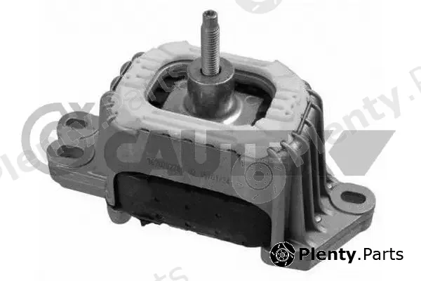 Cautex 759317 — Mounting, engine