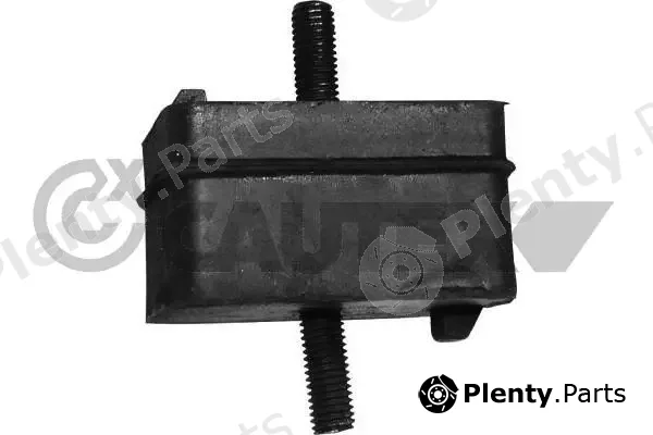 Cautex 080031 — Mounting, engine