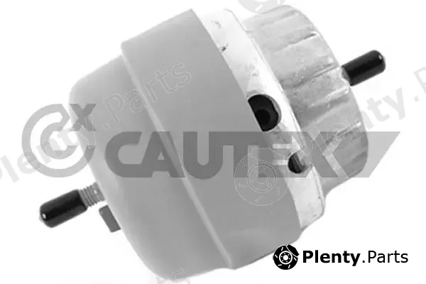 Cautex 756270 — Mounting, engine
