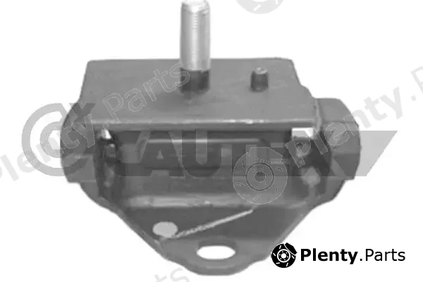Cautex 761028 — Mounting, engine
