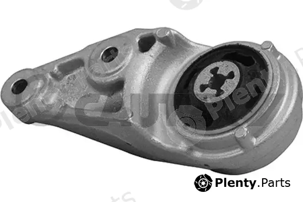 Cautex 759096 — Mounting, engine