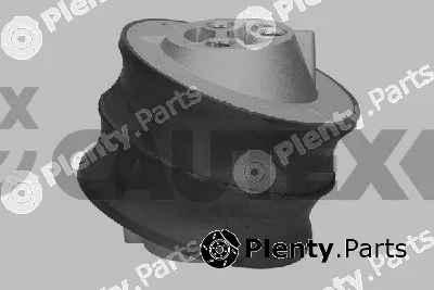 Cautex 775181 — Mounting, engine