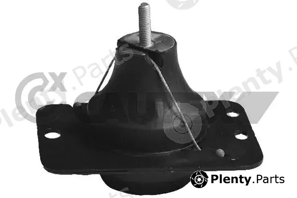 Cautex 061016 — Mounting, engine