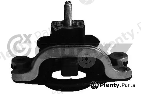 Cautex 756021 — Mounting, engine