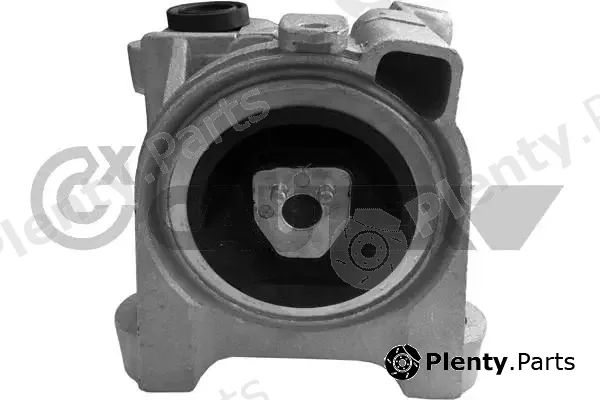 Cautex 011256 — Mounting, engine