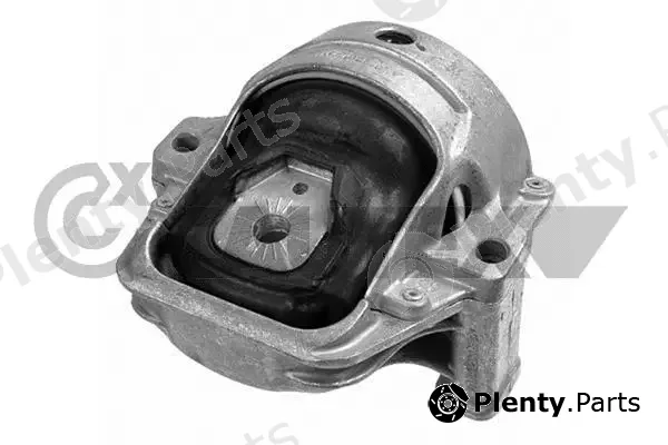 Cautex 755983 — Mounting, engine