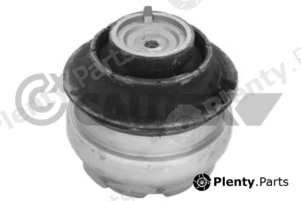Cautex 768828 — Mounting, engine
