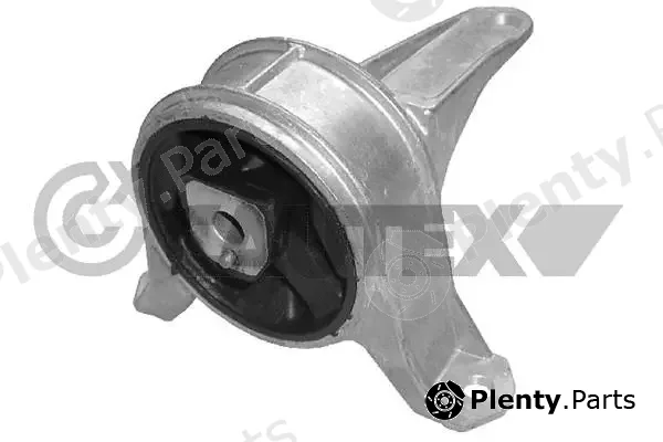 Cautex 480488 — Mounting, engine