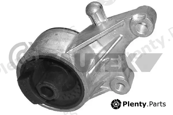 Cautex 480481 — Mounting, engine