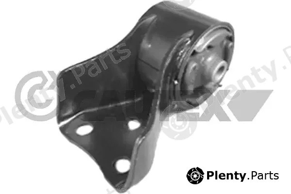 Cautex 761009 — Mounting, engine