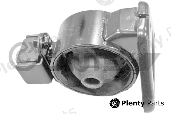Cautex 769606 — Mounting, engine