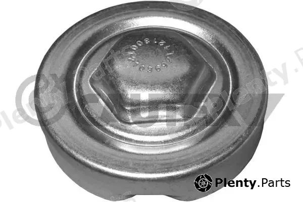 Cautex 954100 — Cap, radiator