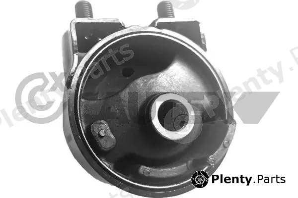 Cautex 760475 — Mounting, engine