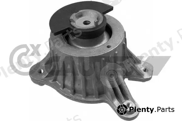 Cautex 759265 — Mounting, engine
