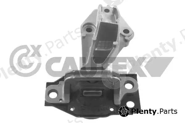 Cautex 756146 — Mounting, engine