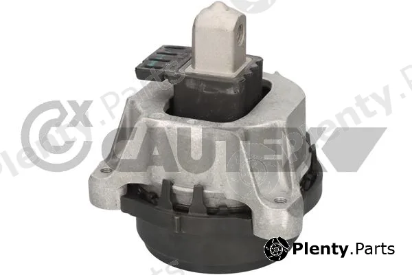 Cautex 776583 — Mounting, engine