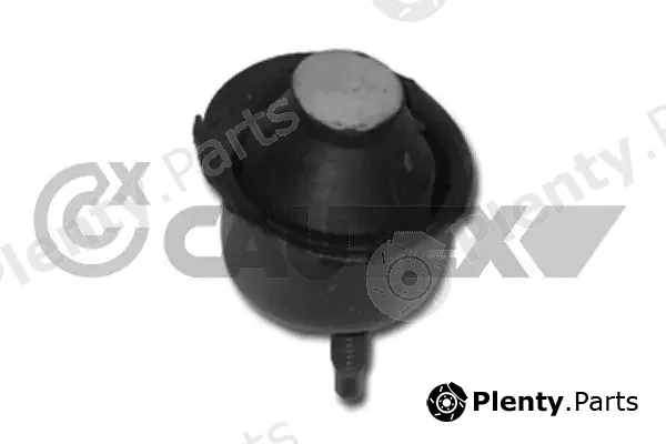 Cautex 030303 — Mounting, engine