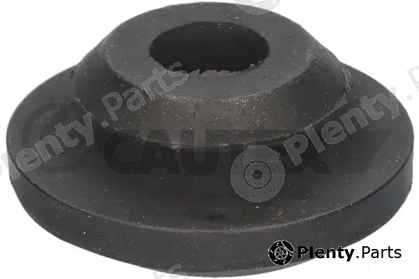 Cautex 769069 — Mounting, radiator
