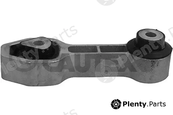 Cautex 759043 — Mounting, engine