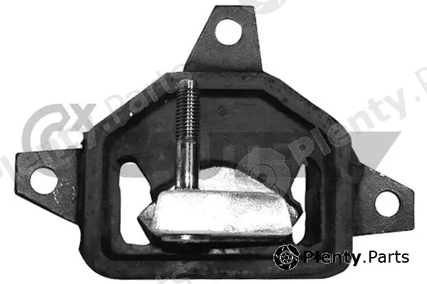 Cautex 480145 — Mounting, engine