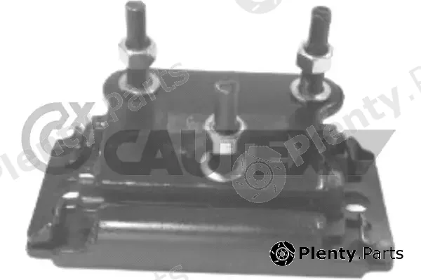 Cautex 766643 — Mounting, engine