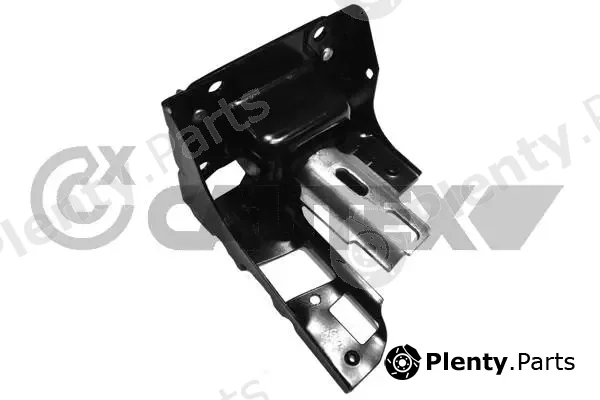 Cautex 756198 — Mounting, engine