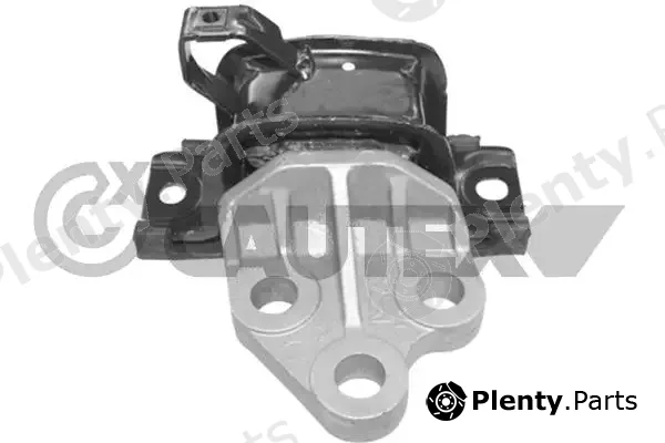 Cautex 756186 — Mounting, engine