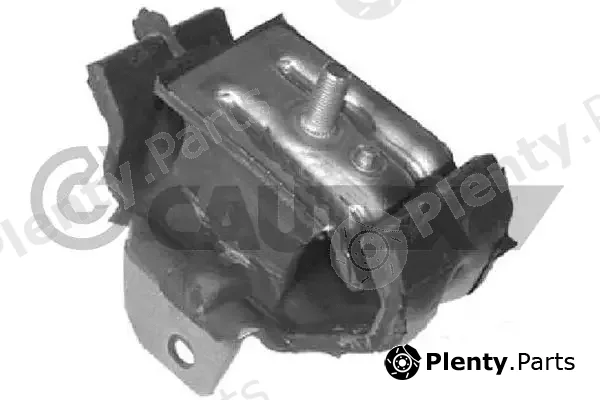 Cautex 060639 — Mounting, engine
