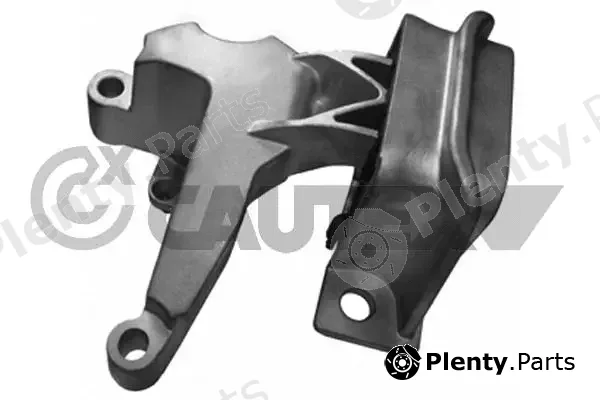 Cautex 755976 — Mounting, engine