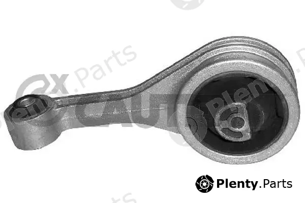 Cautex 080205 — Mounting, engine