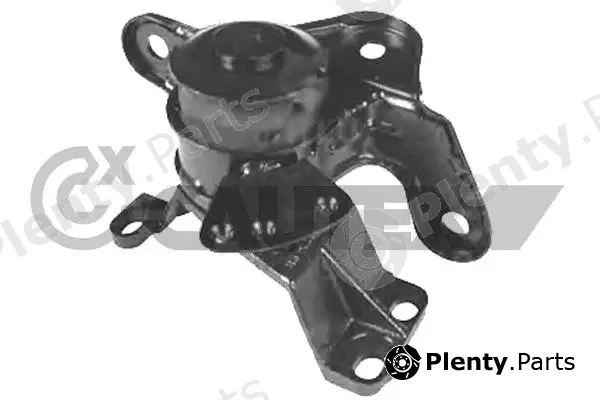 Cautex 755919 — Mounting, engine