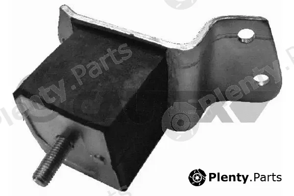 Cautex 020299 — Mounting, engine