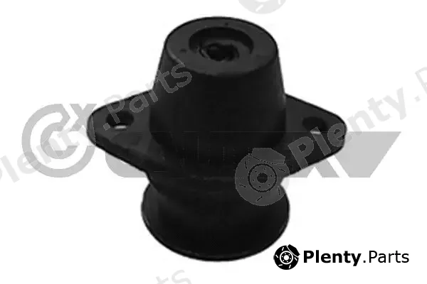 Cautex 060007 — Mounting, engine