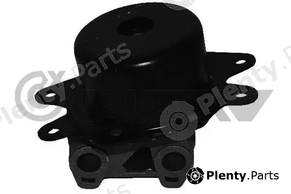 Cautex 481078 — Mounting, engine