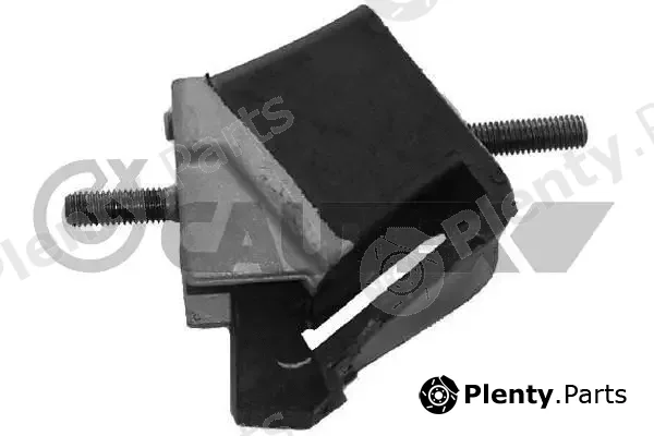 Cautex 021104 — Mounting, engine