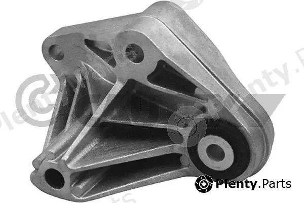 Cautex 759133 — Mounting, engine