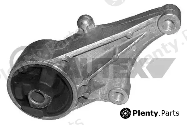 Cautex 480478 — Mounting, engine