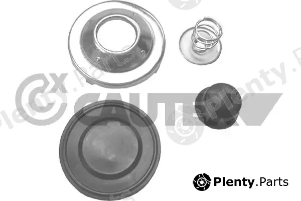 Cautex 750256 — Fuel Filter