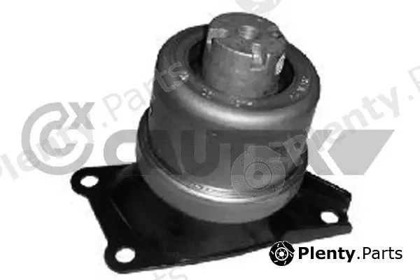 Cautex 756460 — Mounting, engine