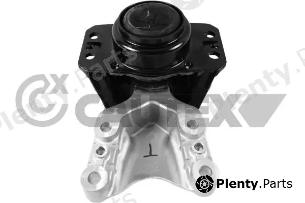 Cautex 756352 — Mounting, engine