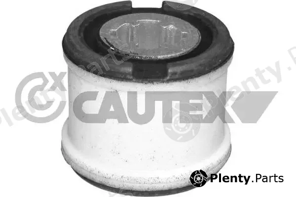 Cautex 081107 — Mounting, engine