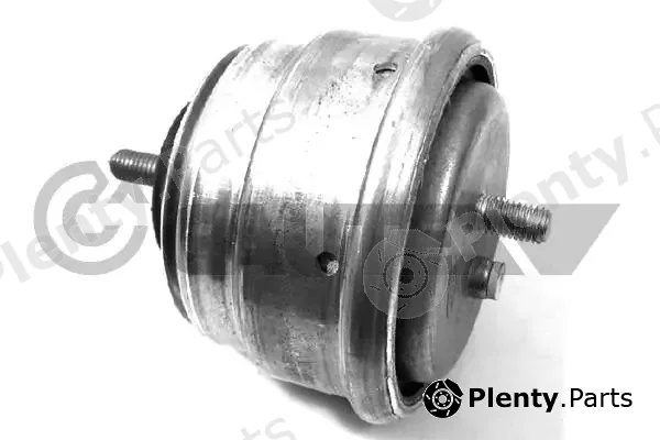 Cautex 756167 — Mounting, engine