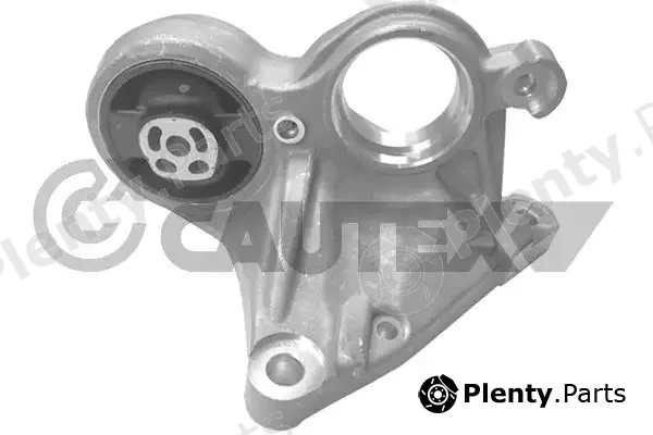 Cautex 770432 — Mounting, engine