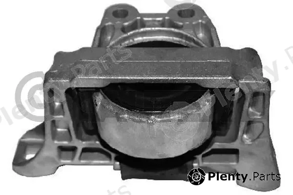 Cautex 756072 — Mounting, engine