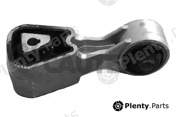 Cautex 030306 — Mounting, engine