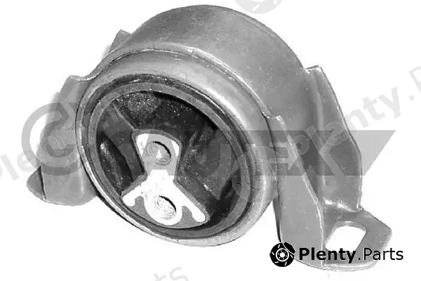 Cautex 755990 — Mounting, engine