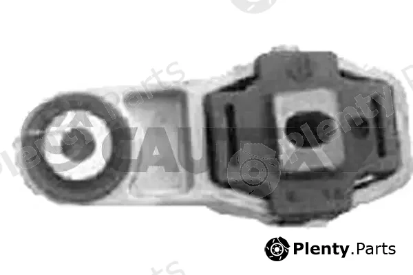 Cautex 767293 — Mounting, engine