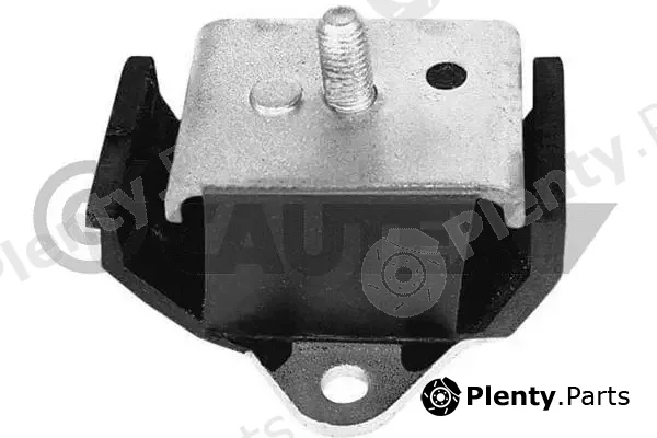 Cautex 770863 — Mounting, engine