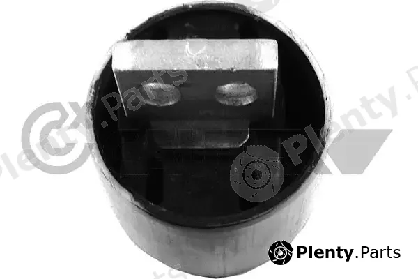 Cautex 753529 — Mounting, engine