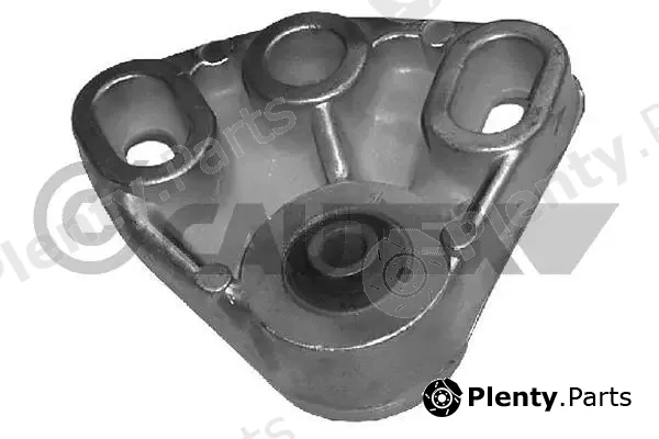 Cautex 755356 — Mounting, engine